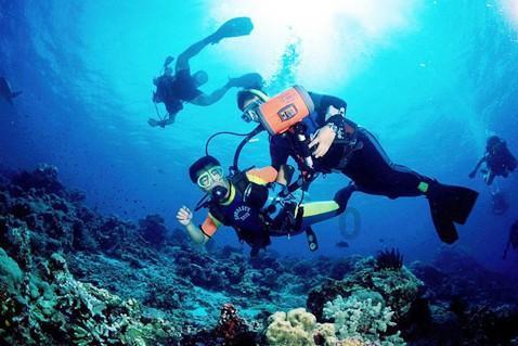 游客入住兵马俑主题民宿 称晚上恐怖氛围拉满